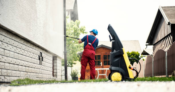 Best Gutter Cleaning  in Hampton, AR